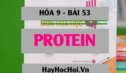 Protein tính chất hóa học, trạng thái tự nhiên, thành phần cấu tạo và ứng dụng của Protein - Hóa 9 bài 53